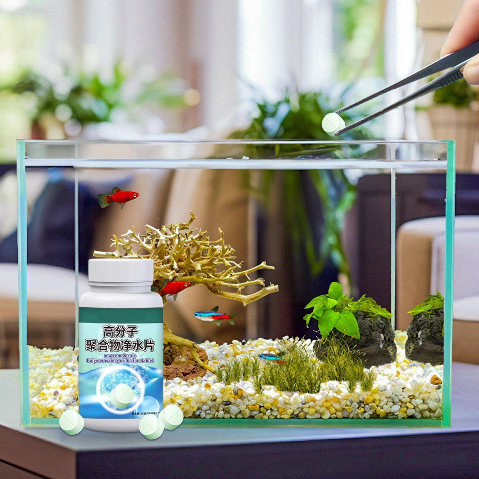 Tabletki do usuwania alg z ryb – Betta Fish Tank recenzja i cena