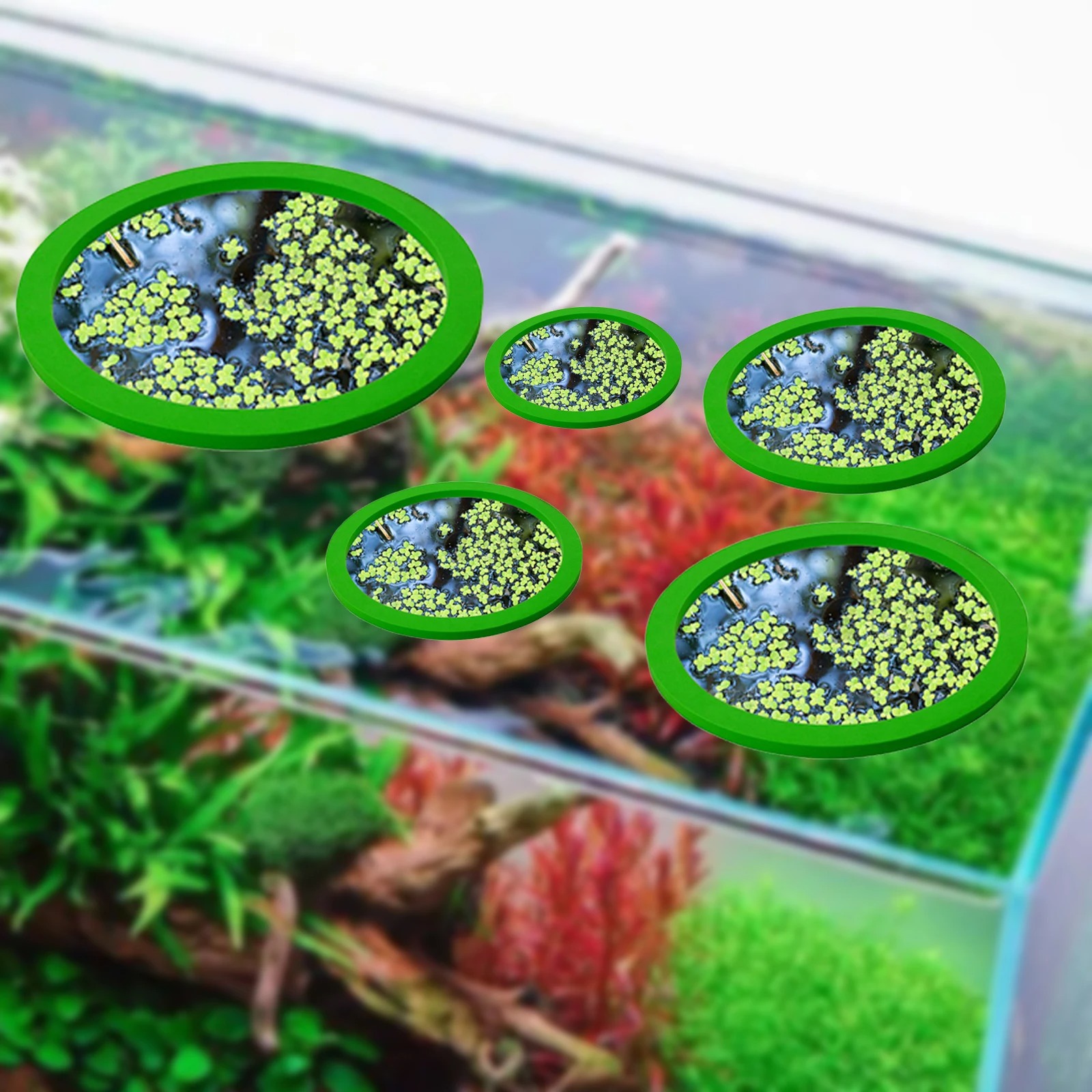 5Pcs EVA Pierścień do karmieni – Aquarium Fish Tank recenzja i cena