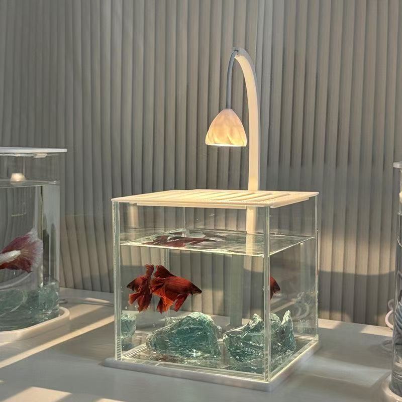 Akrylowe akwarium w kształcie  – Betta Fish Tank recenzja i cena